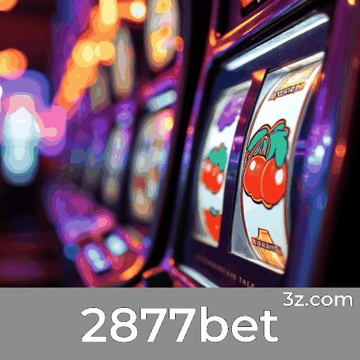 2877bet